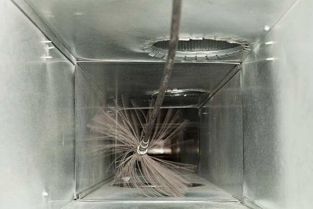 Best Professional Duct Cleaning Services  in Powells Crossroads, TN